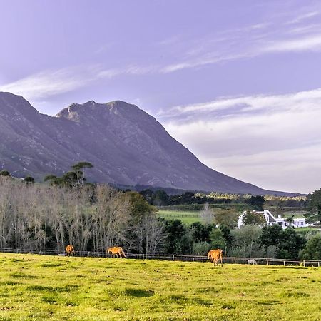 Hotel Hemel 'N Aarde Stud Hermanus Zewnętrze zdjęcie