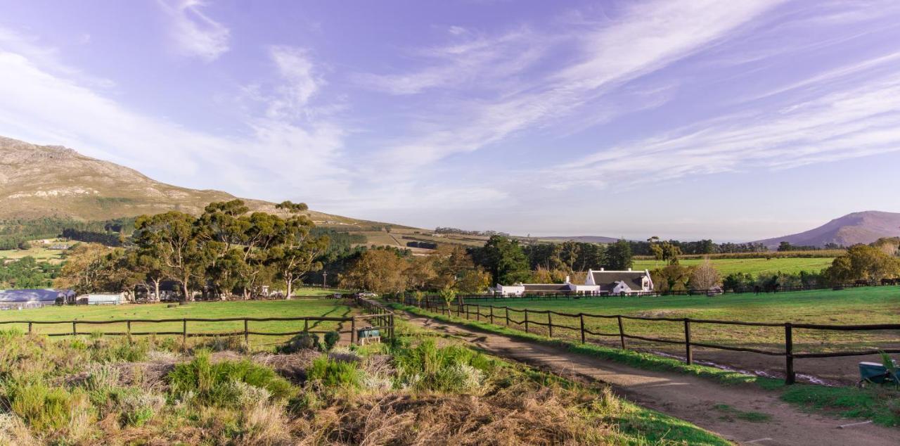 Hotel Hemel 'N Aarde Stud Hermanus Zewnętrze zdjęcie