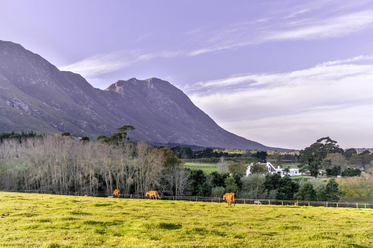 Hotel Hemel 'N Aarde Stud Hermanus Zewnętrze zdjęcie