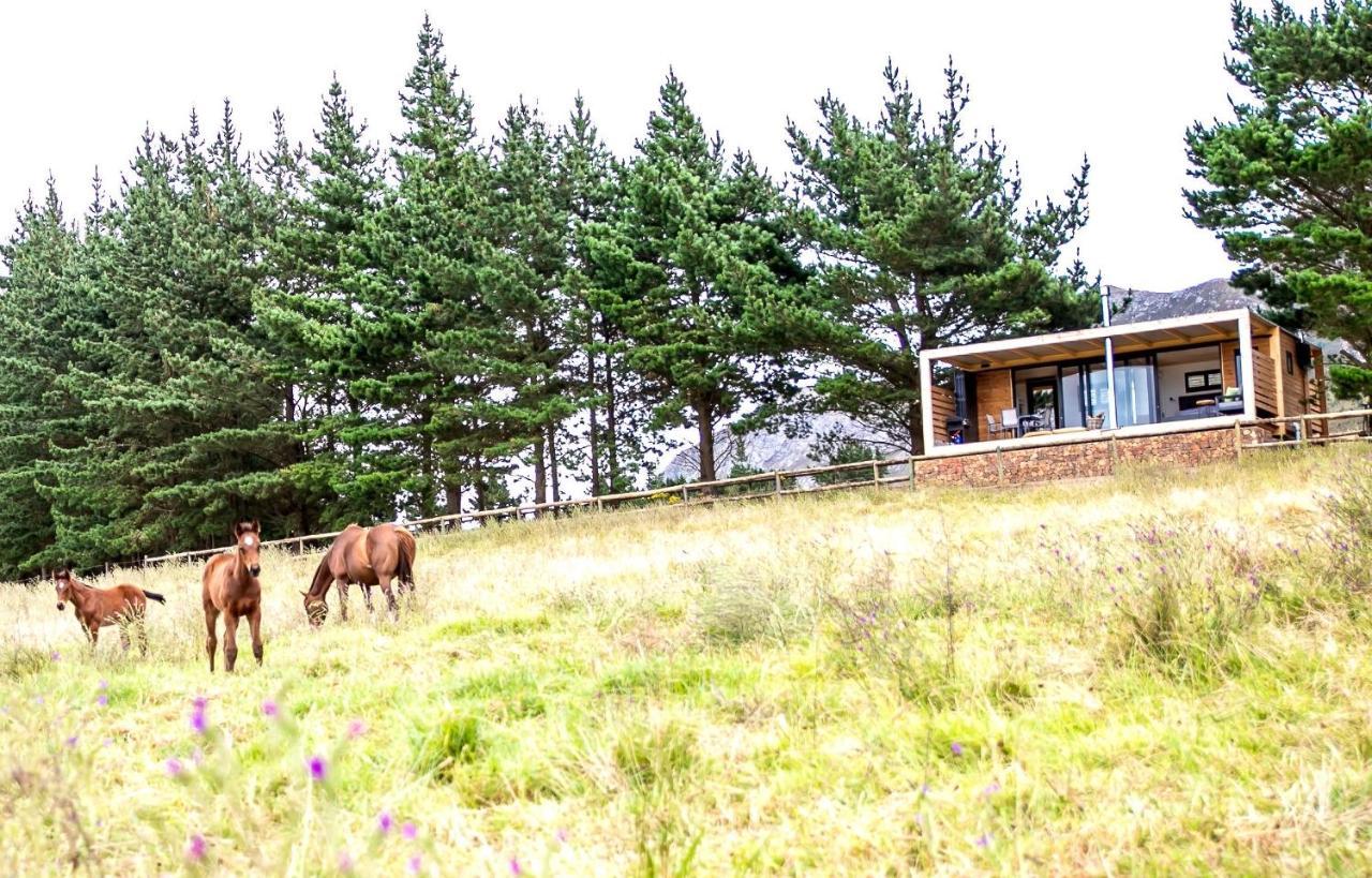 Hotel Hemel 'N Aarde Stud Hermanus Zewnętrze zdjęcie